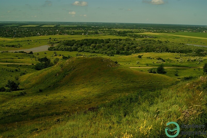 Анекдот