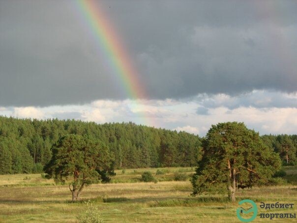 Радуга мечты