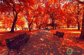 Добрая осень