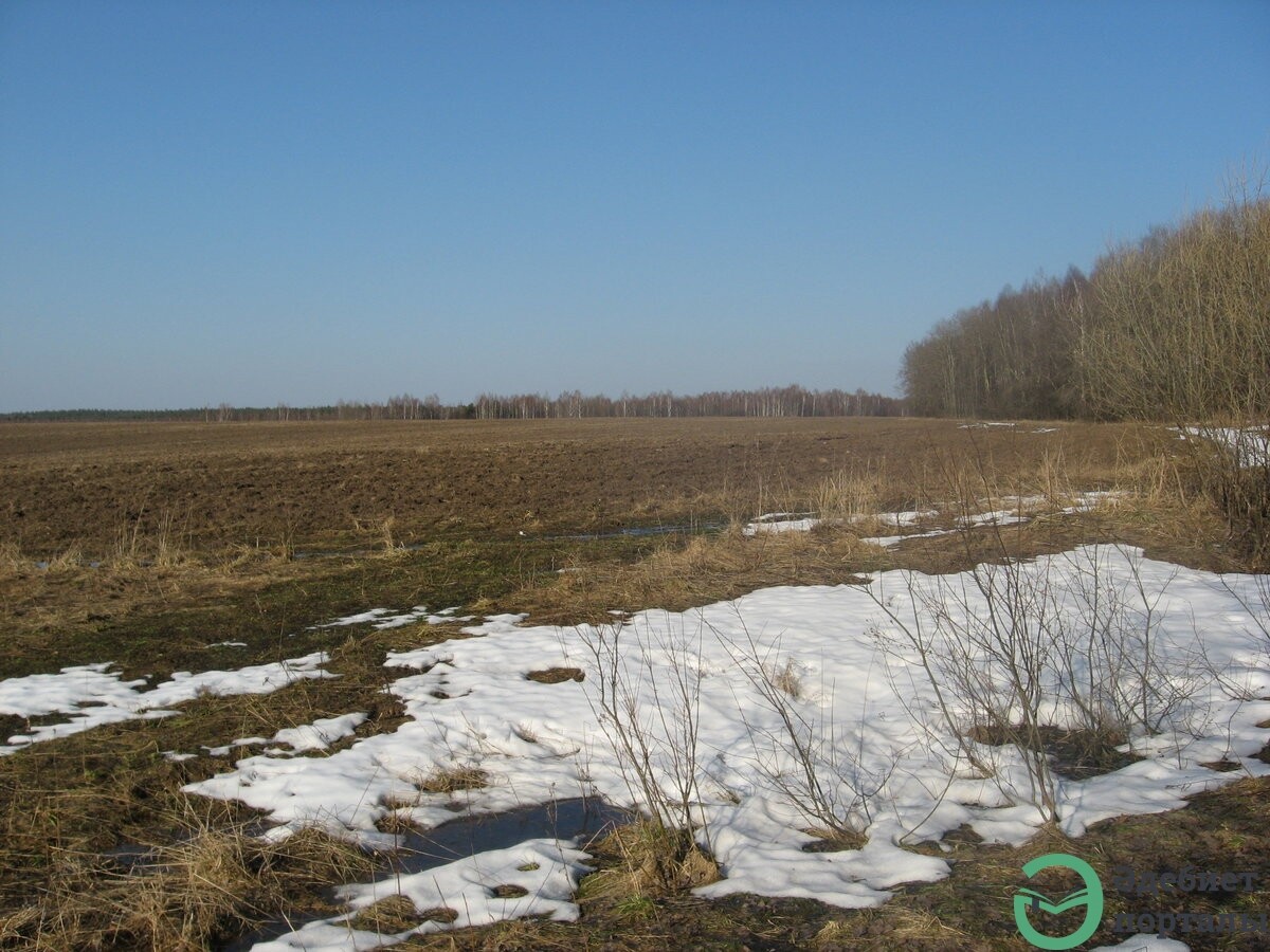 Родной край