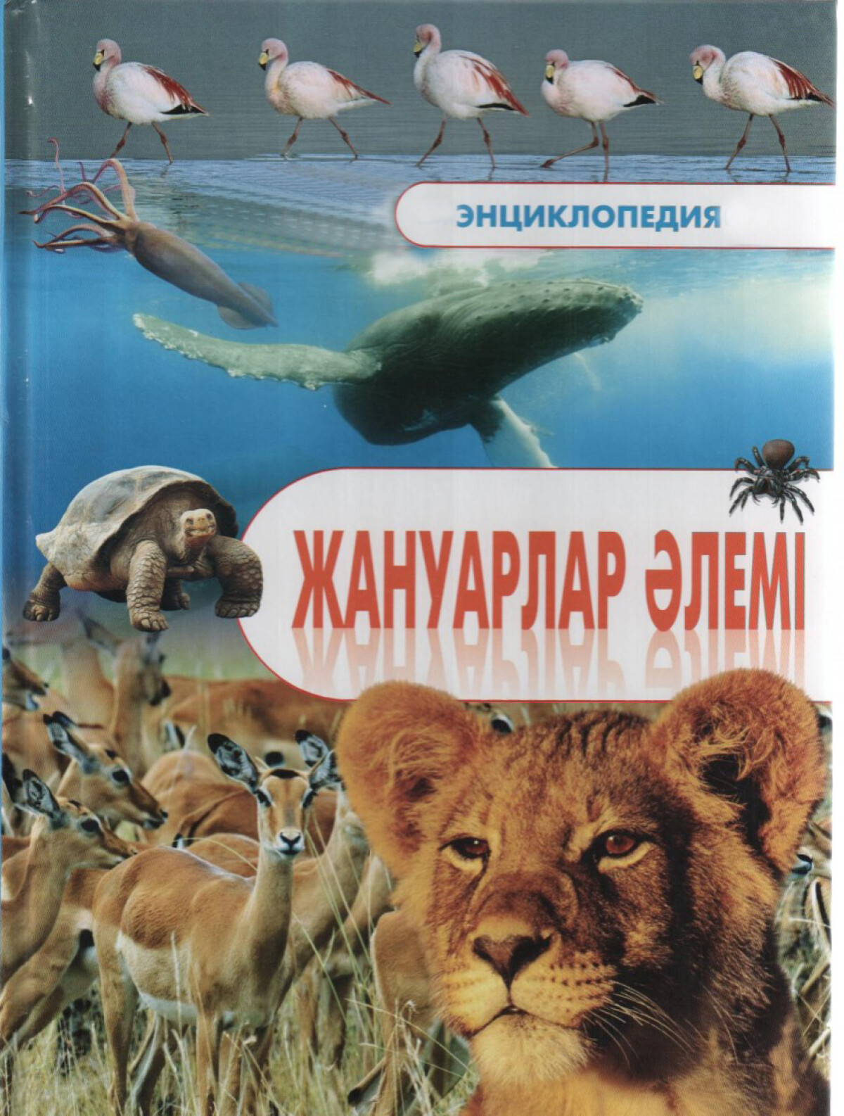 Жануарлар әлемі