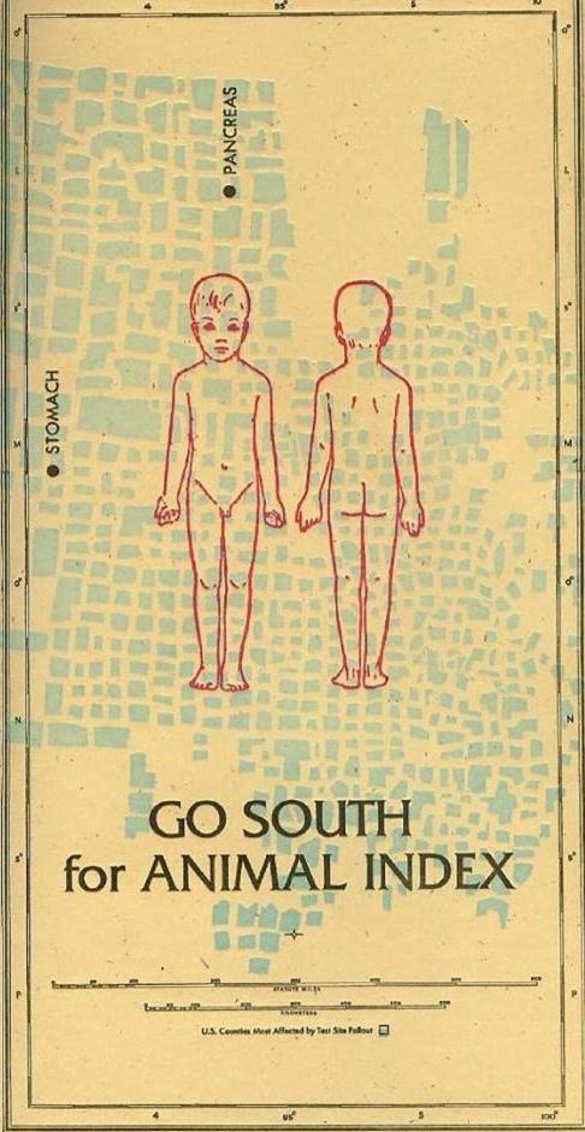 Go South for Animal Index