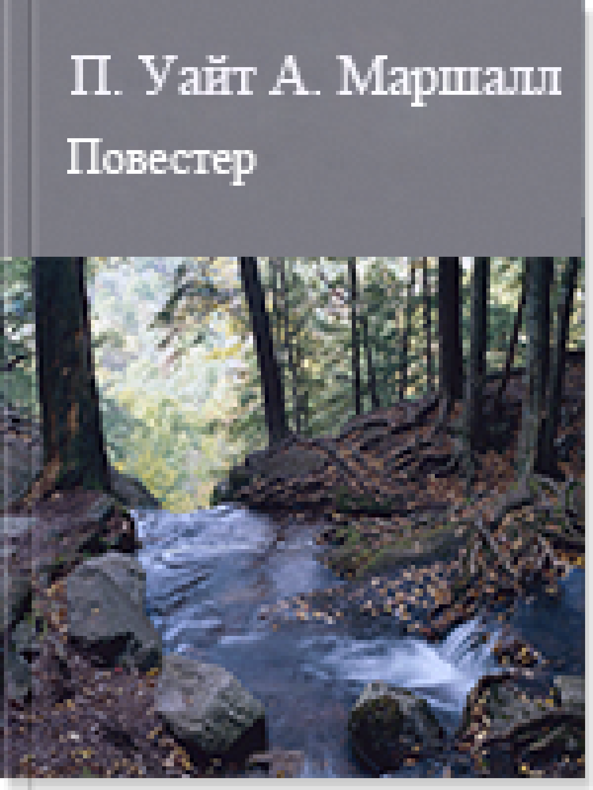 Повестер