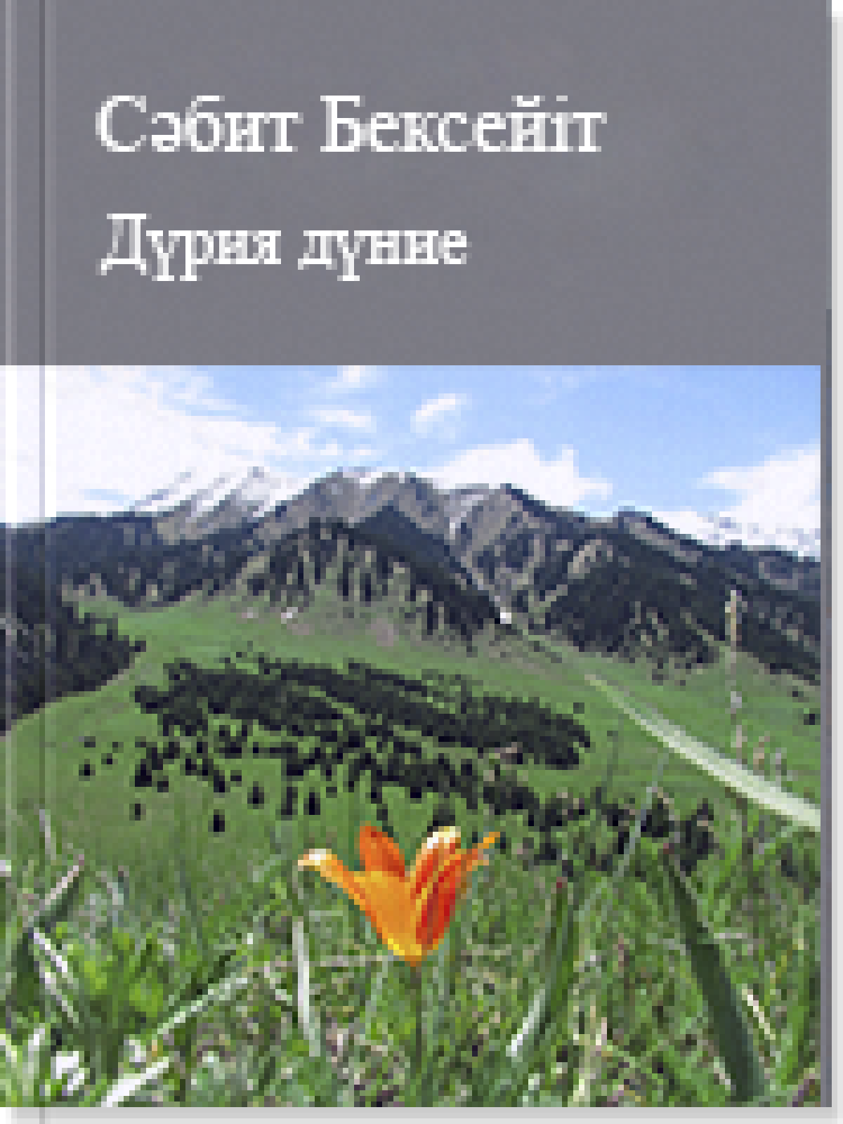 Дүрия дүние