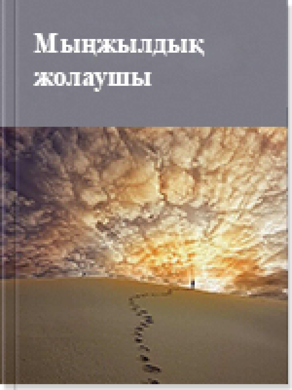 Мыңжылдық жолаушы