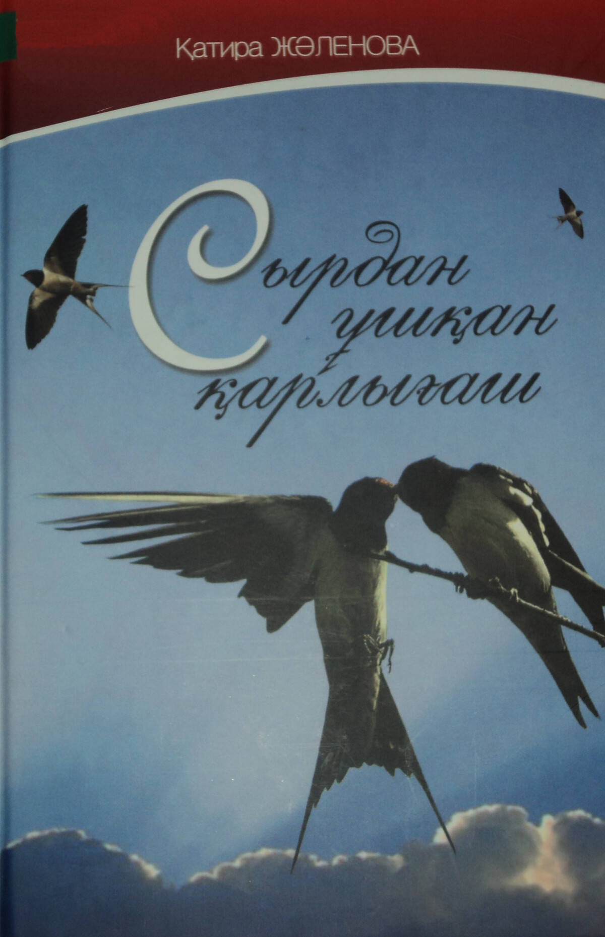 Сырдан ұшқан қарлығаш  