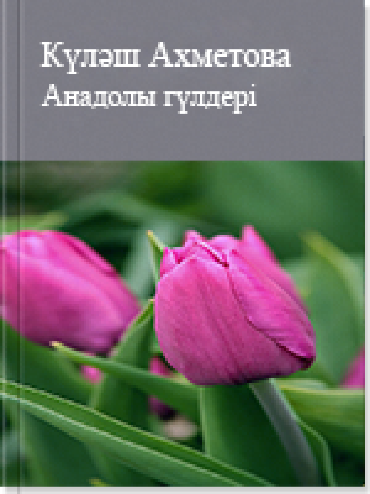Анадолы гүлдері