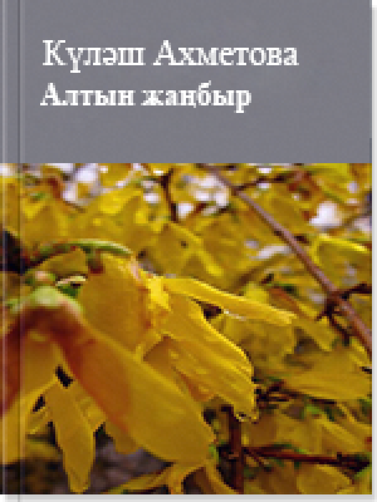 Алтын жаңбыр