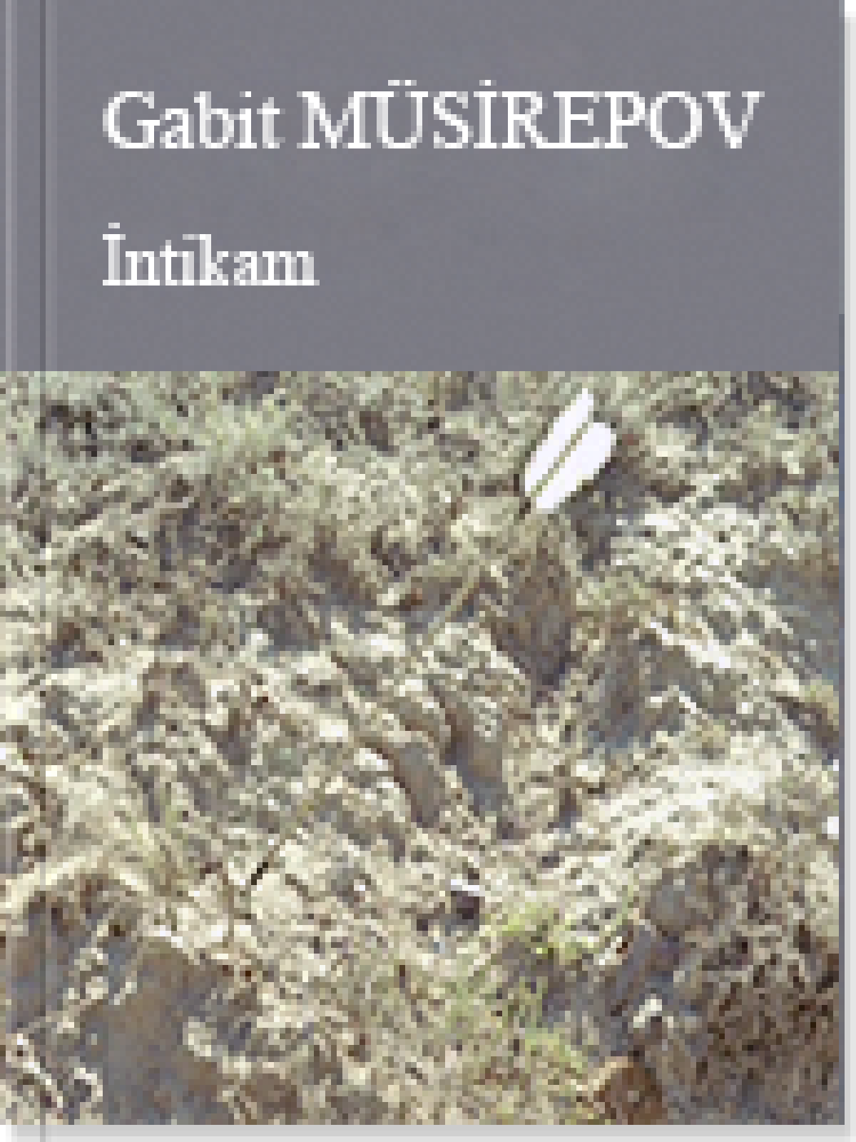 İntikam