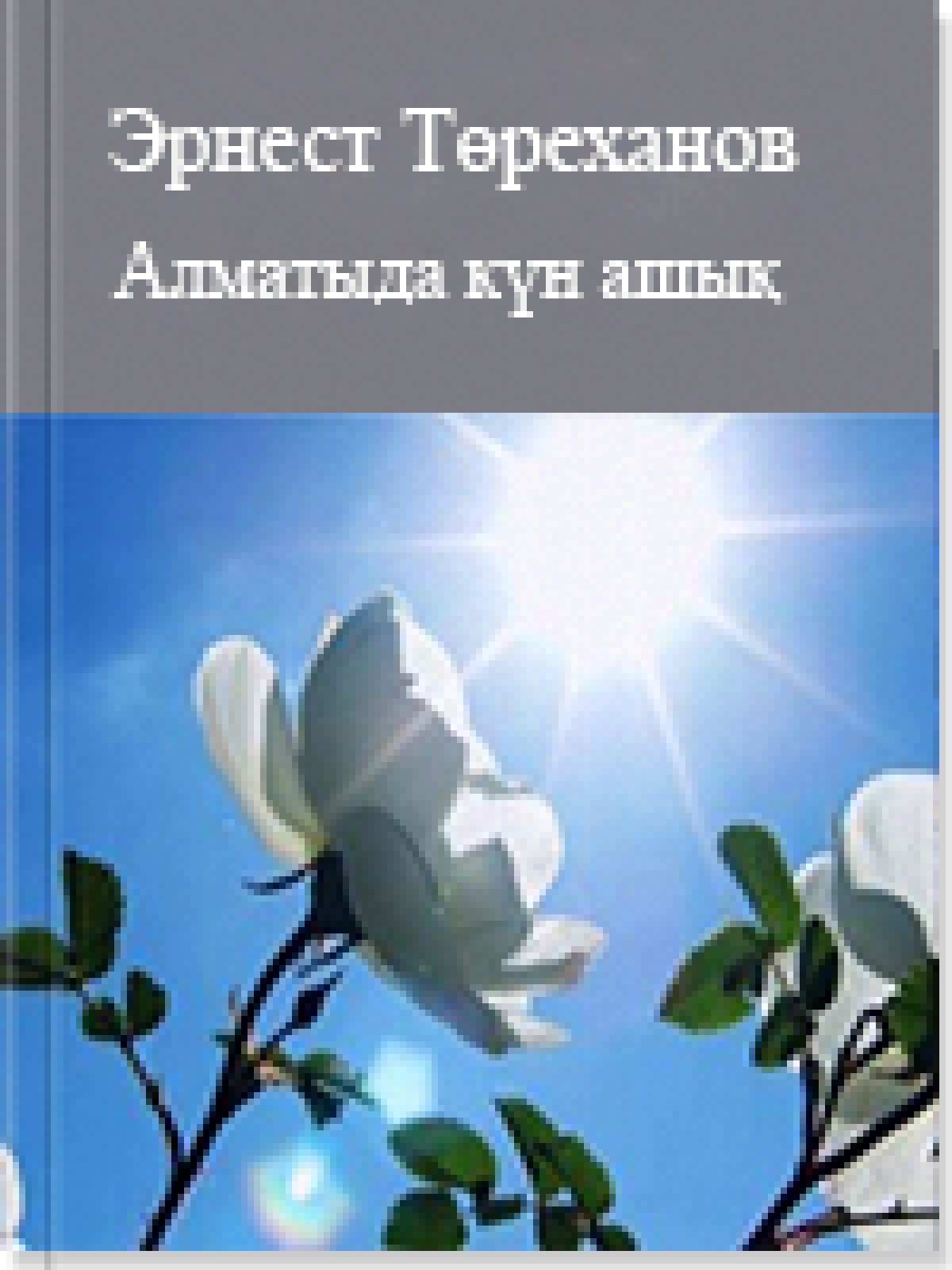 Алматыда күн ашық