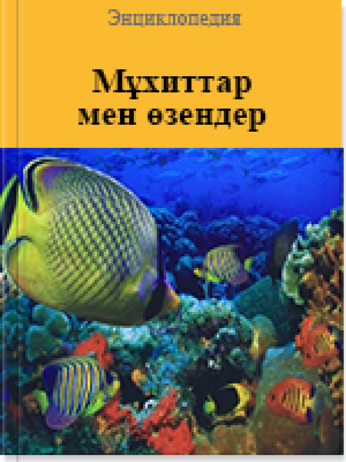 Мұхиттар мен өзендер