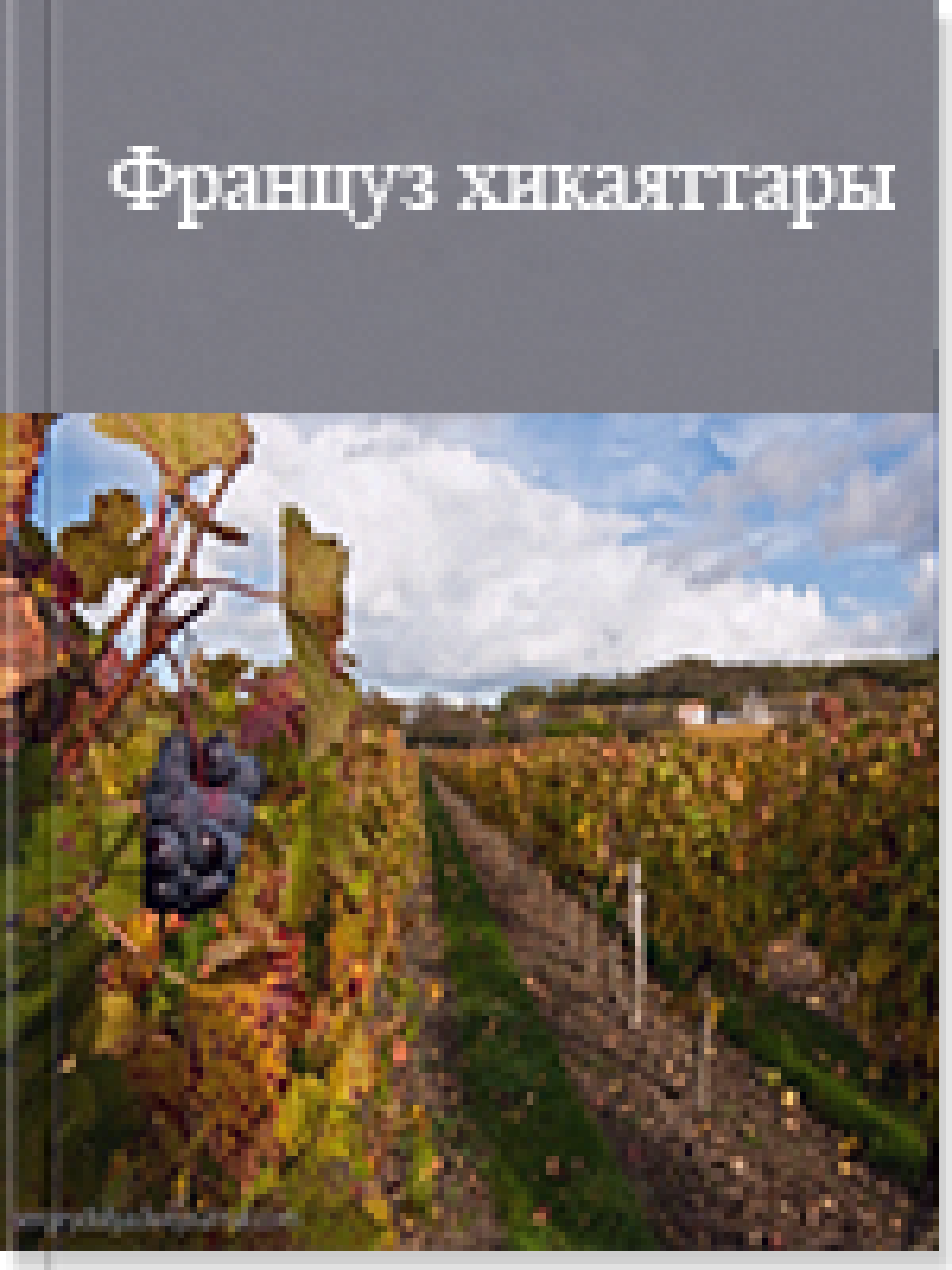 Француз хикаяттары