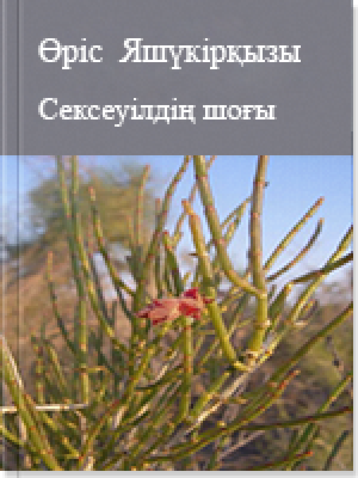 Сексеуілдің шоғы