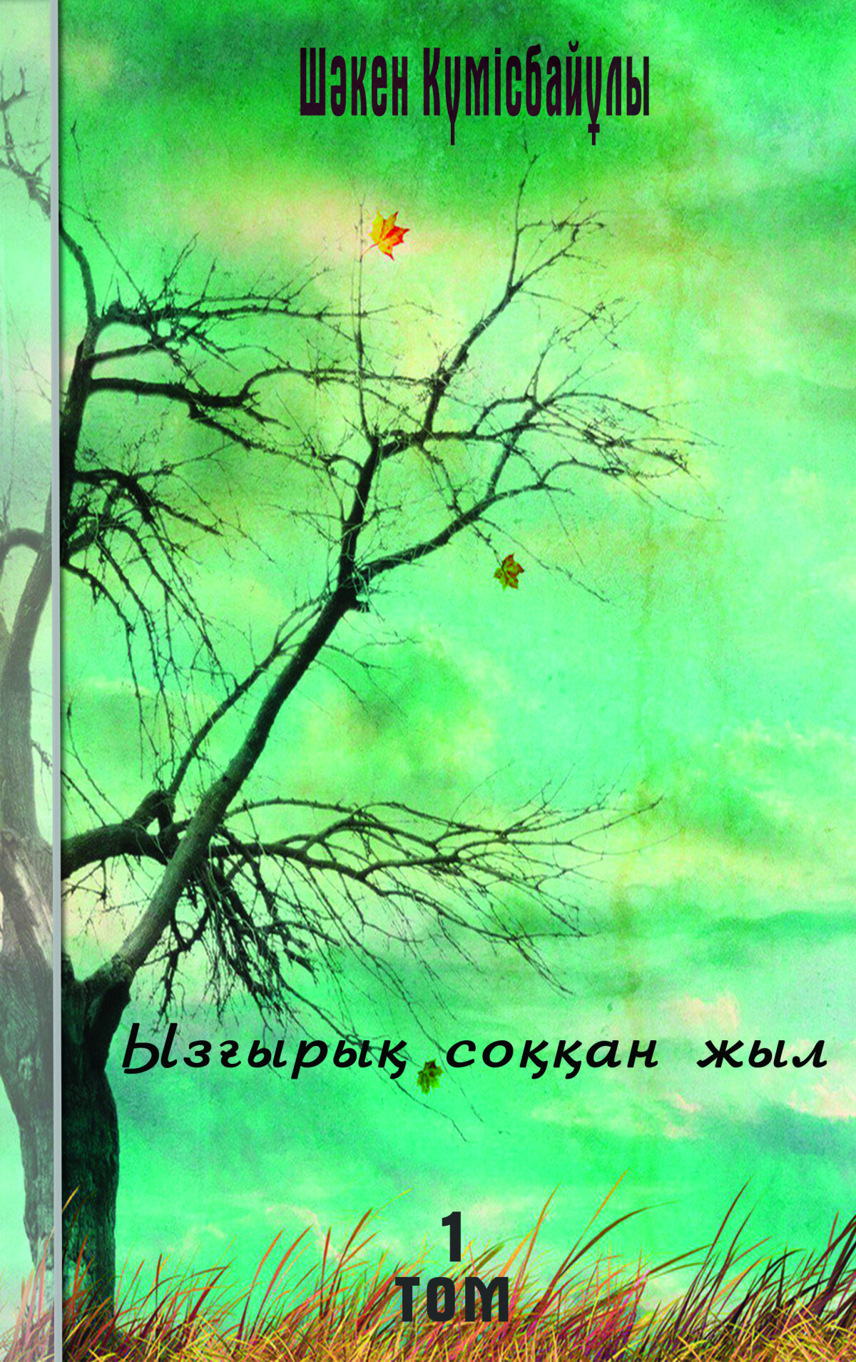 Ызғырық соққан жыл Том 1