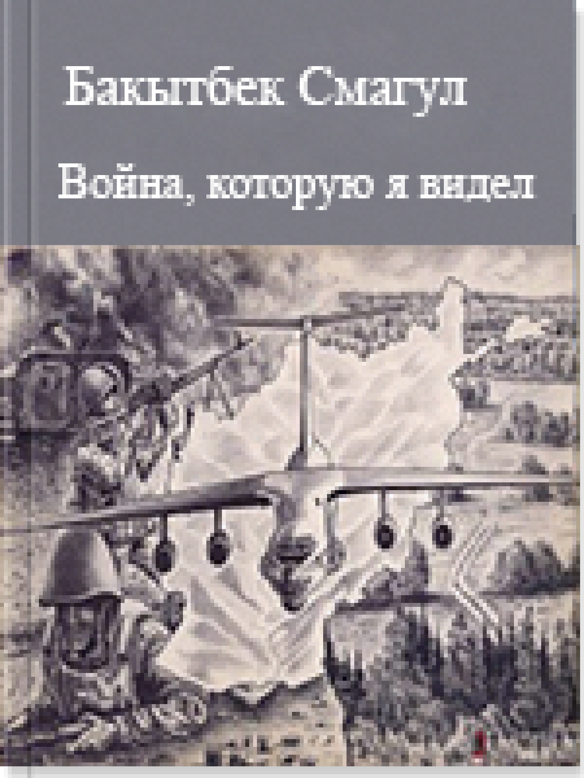 Война, которую я видел 