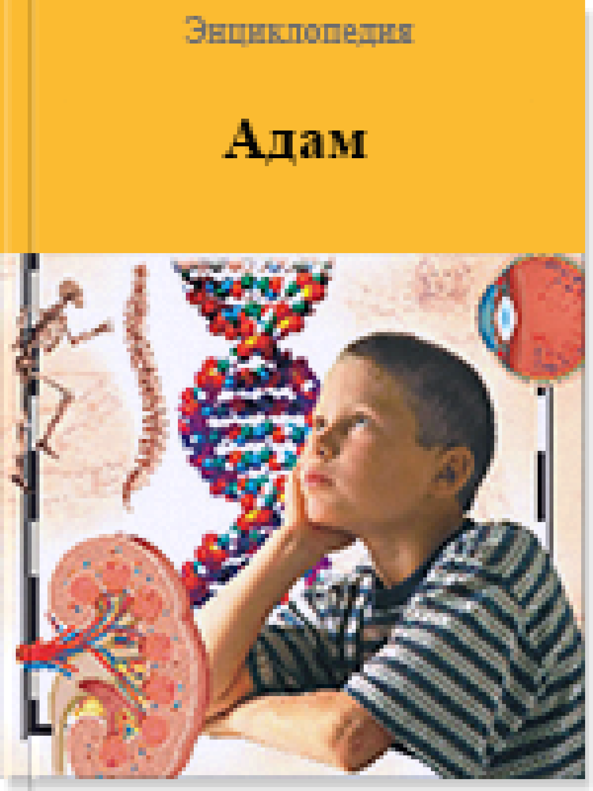 Адам
