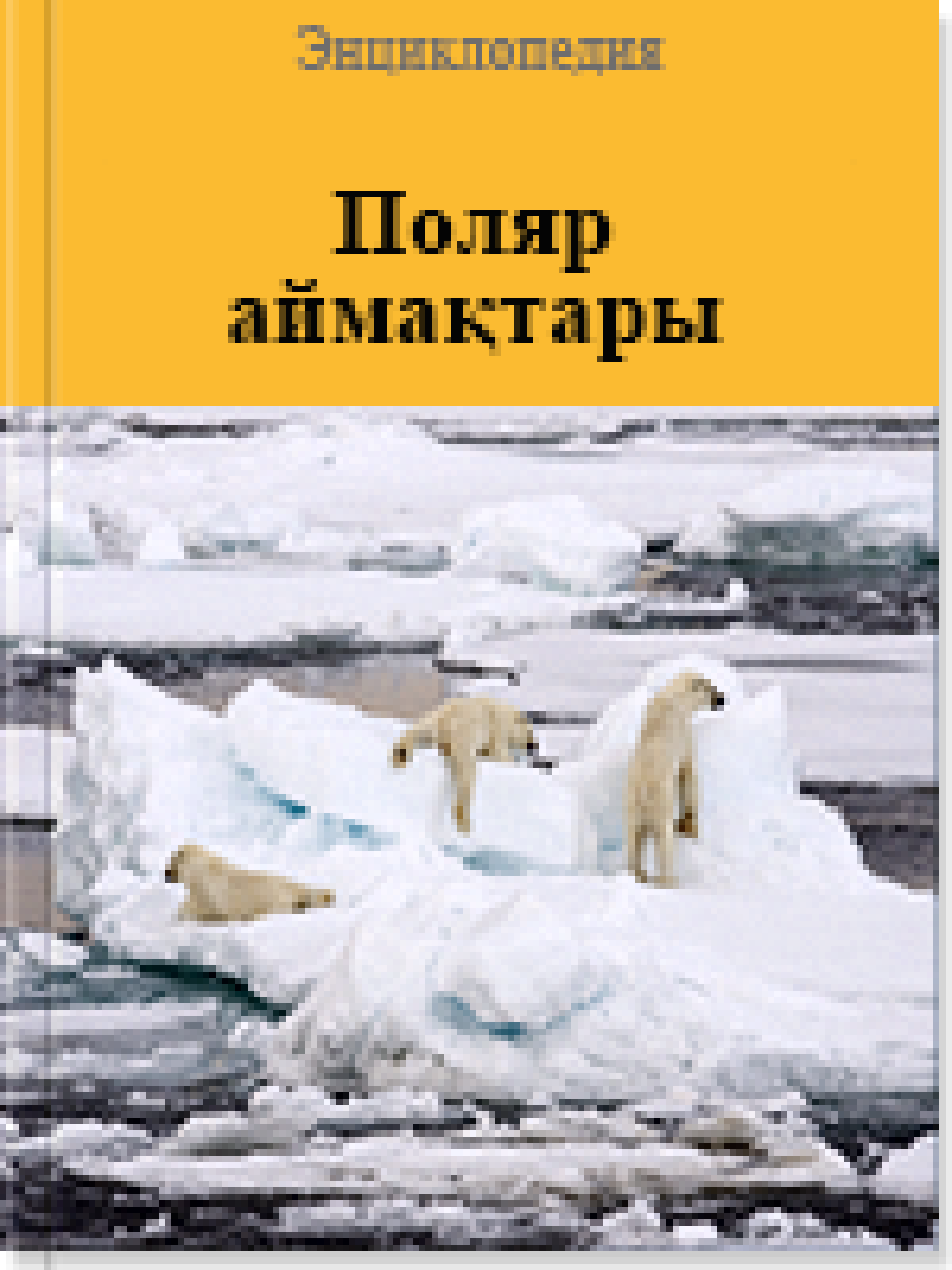 Поляр аймақтары