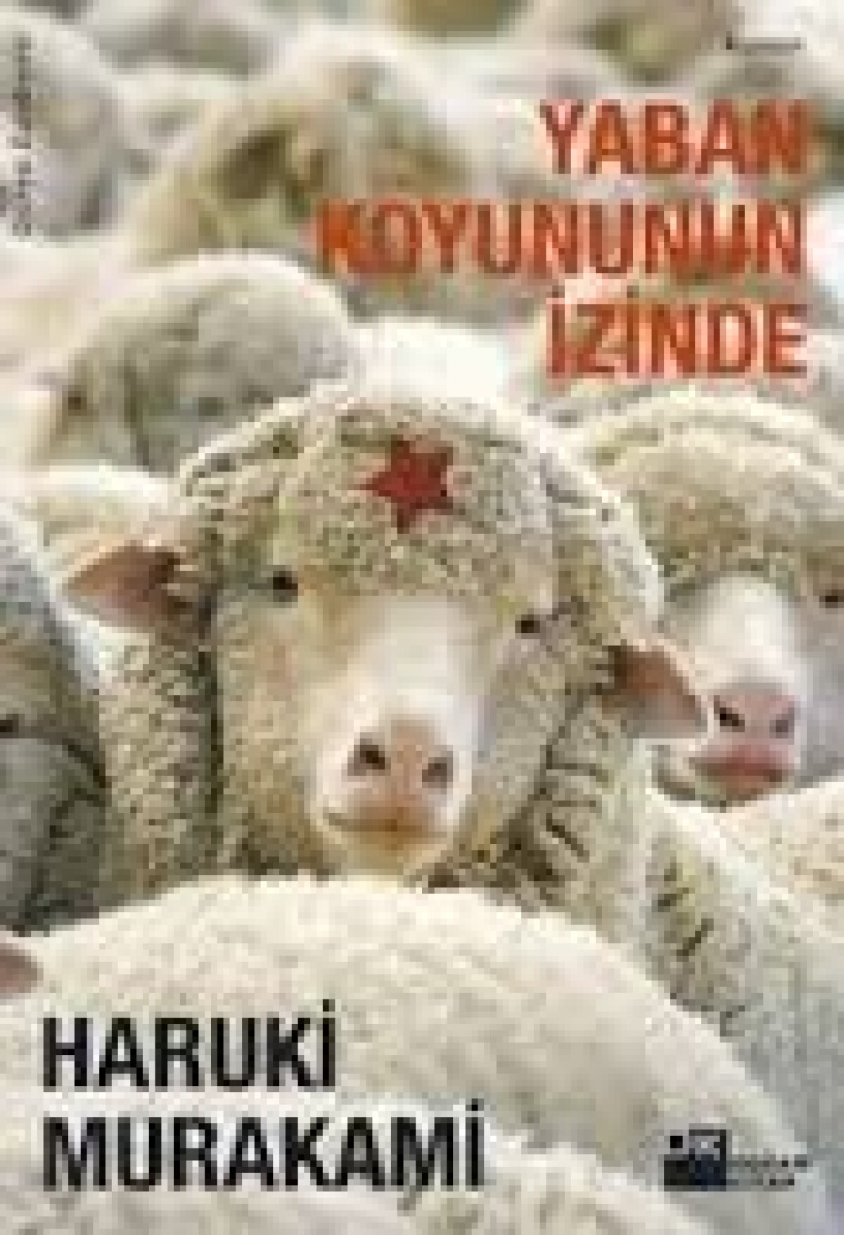 Yaban Koyununun İzinde