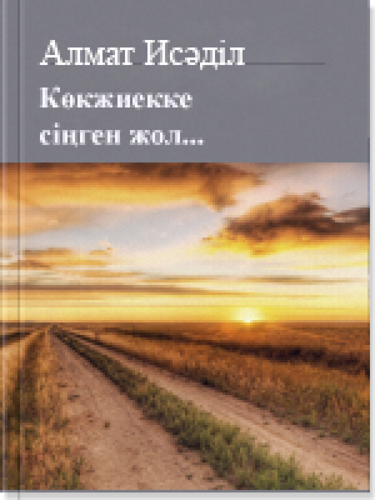 Көкжиекке сiңген жол... 