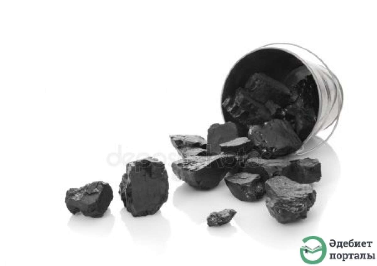 Франц Кафка. Верхом на ведре - adebiportal.kz