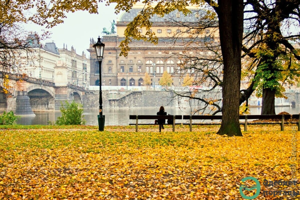 Цветаеваның «күзі» - adebiportal.kz