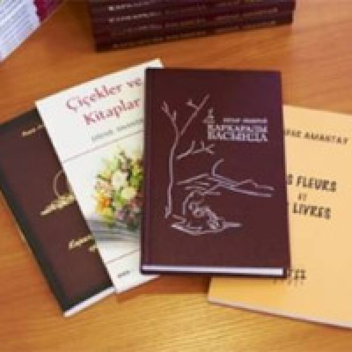 Книга «На вершинах Каркаралы» Дидара Амантая вышла на иностранных языках  - adebiportal.kz