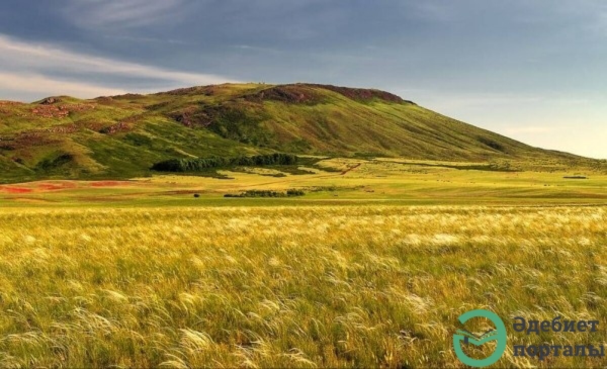 Қыпшақтардың гүржі хандығын  қалыптастырудағы рөлі - adebiportal.kz