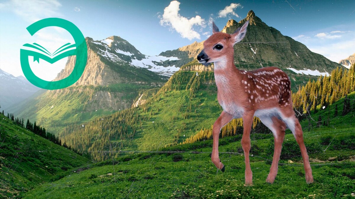 Ретбек Мағаз. Кермиық - adebiportal.kz