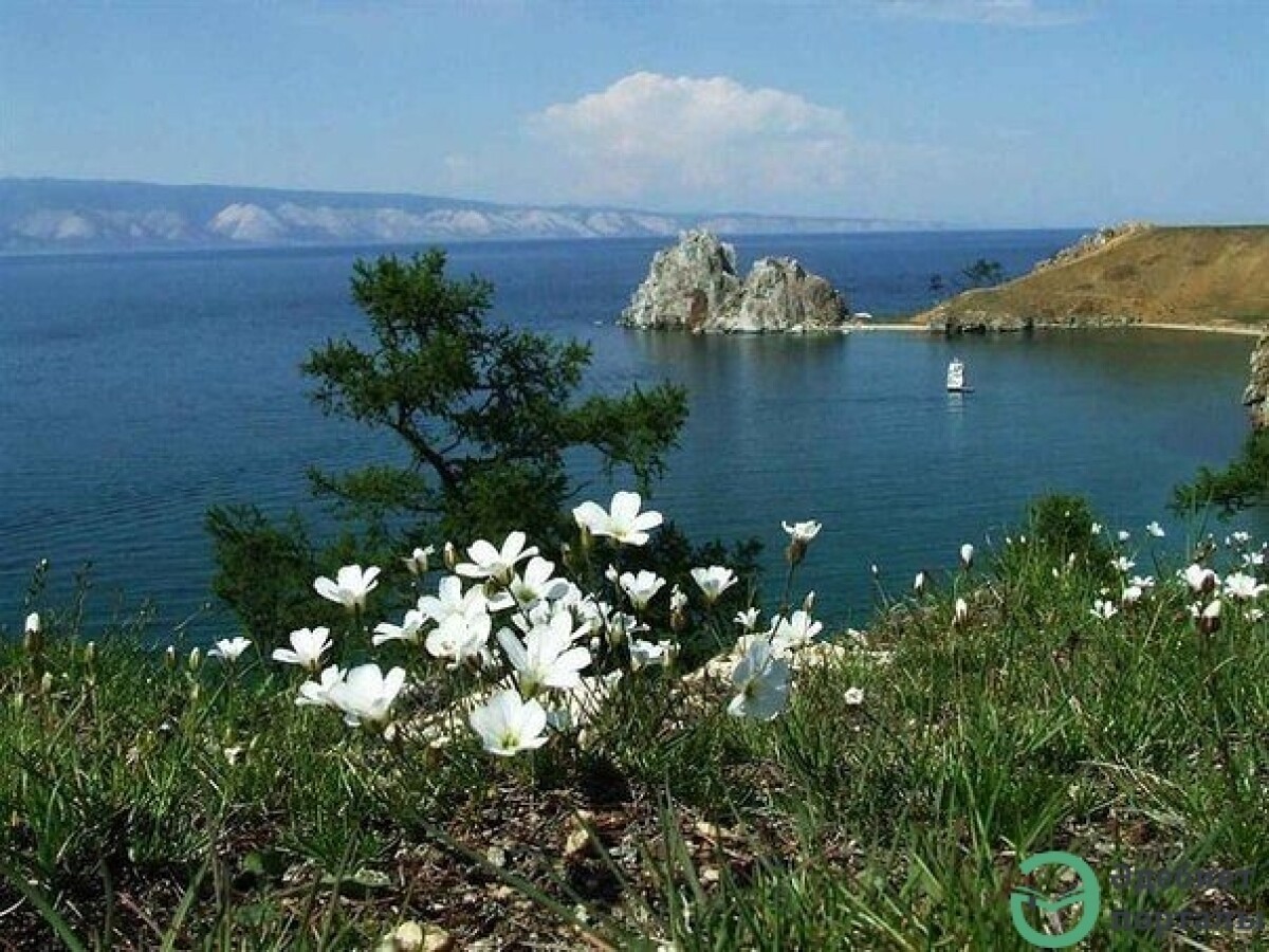 Поэзия Фаризы Онгарсыновой – одна из ярких страниц казахской литературы - adebiportal.kz