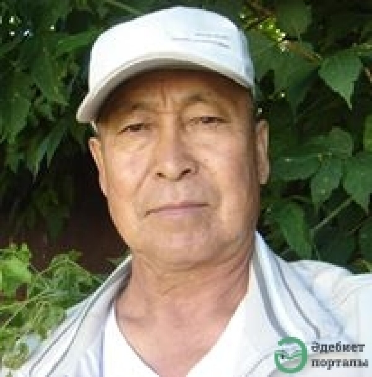 Заман Төлеуов: Латын әліпбиіне көшу өркениет талабы - adebiportal.kz