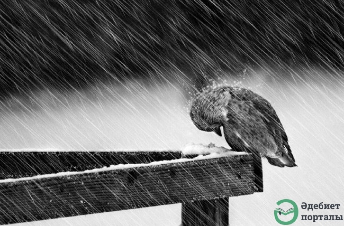 Қара өлеңнің табиғаты - adebiportal.kz