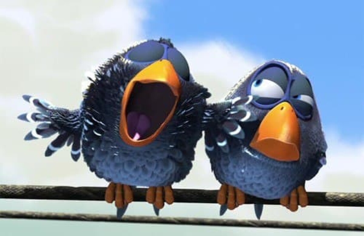 Why cannot the birds talk?  - adebiportal.kz
