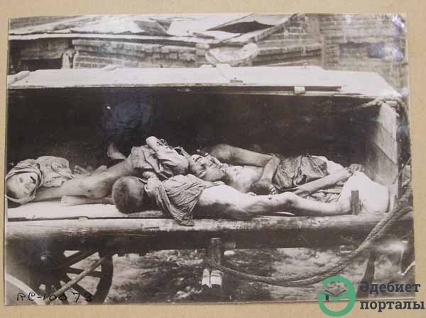 FAMINE OF 1920's and 1930's - фото 52 - adebiportal.kz