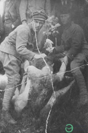 FAMINE OF 1920's and 1930's - фото 67 - adebiportal.kz