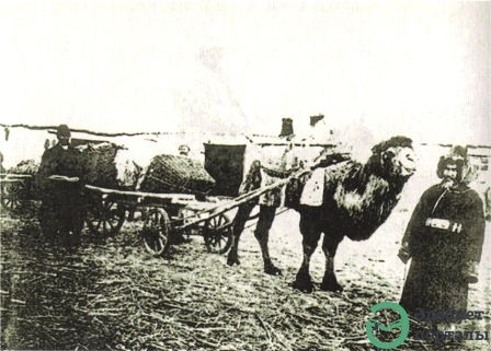 FAMINE OF 1920's and 1930's - фото 158 - adebiportal.kz