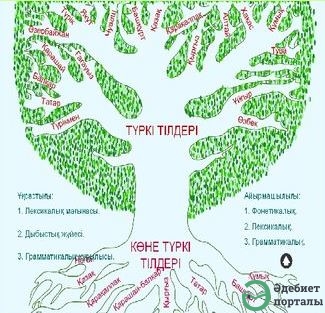 Түркі тілдері