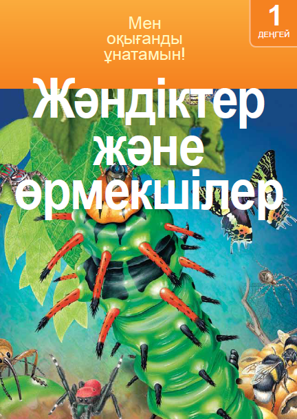 Жәндіктер және өрмекшілер
