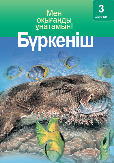 Бүркеніш