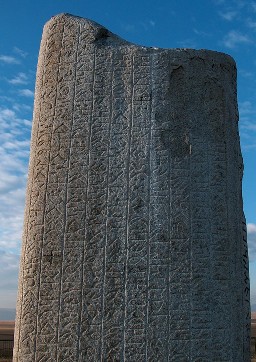 Tongquq (1).jpg
