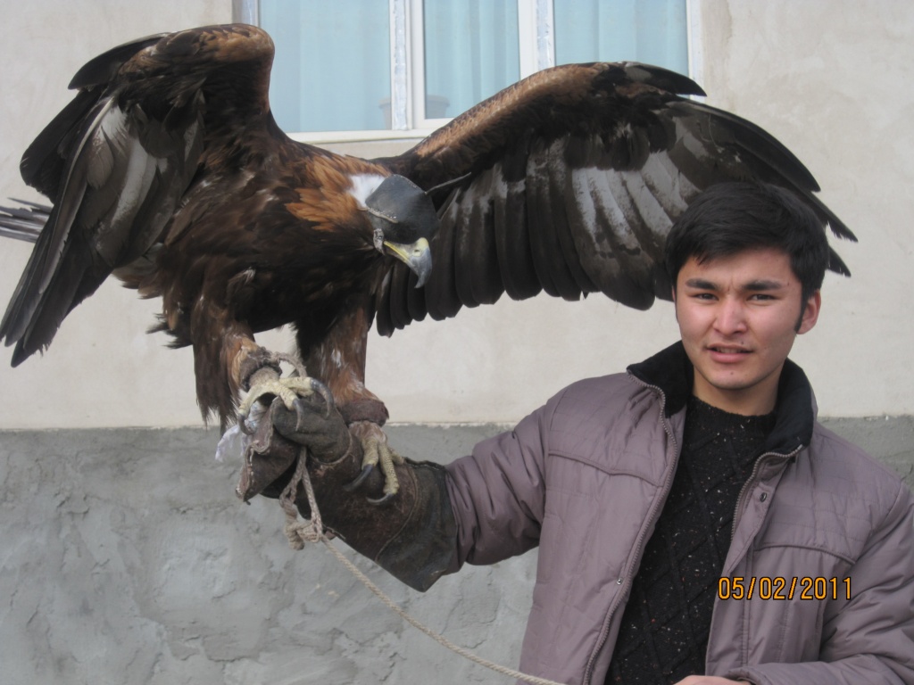 Қанат Тілепберген